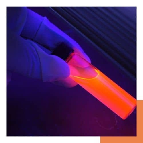 Biotech et Protocole de Nagoya