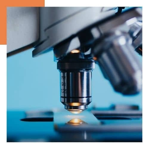 Biotech gestion de la propriété intellectuelle